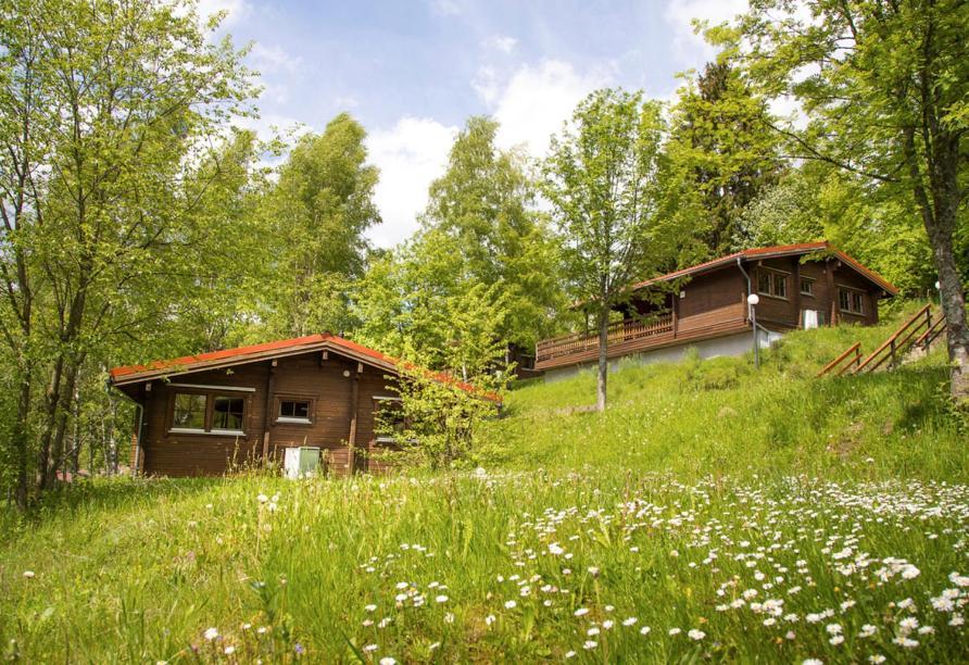 Werrapark Resort Ferienhaeuser Am Sommerberg Premium Masserberg Eksteriør bilde
